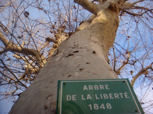 arbre de la liberté Mirabel